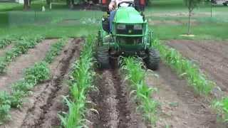 6 Cultivating Corn with John Deere 1025R [upl. by Aratnahs]