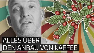 Das ist Kaffee  01  Alles über den Anbau von Kaffee [upl. by Airt429]