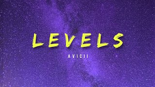 Avicii  Levels [upl. by Levison744]