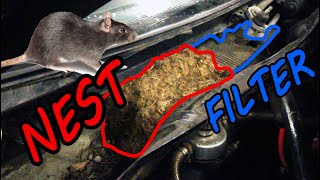 SAAB ng900 Replacing Fuel Filter Cabin Air Filter DIY [upl. by Aran]