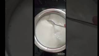 Dahi kase banvave in marathi dahi kaise jamayedahi kase lavave दही कसे बनवावे [upl. by Cristina]