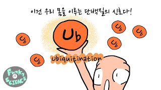 그리는 과학 83화 Ubiquitination 이건 우리 몸안의 단백질이 주고받는 신호이자 대화의 시작점이다 [upl. by Odin]