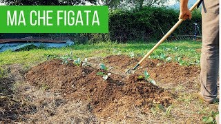 Eliminare le erbe infestanti dallorto e giardino  ATTREZZO CHE DEVI AVERE [upl. by Frear]