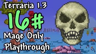 Expert Mode Terraria  Mage Only Skeletron  Episode 16 [upl. by Sudnak]