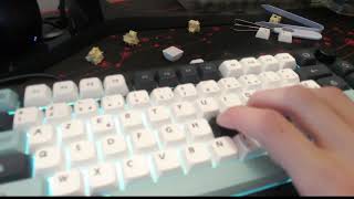 PBT vs ABS keycaps [upl. by Kwarteng]