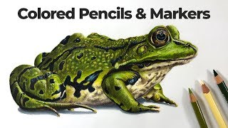 How to Draw with Markers and Colored Pencils  Frog [upl. by Blau438]