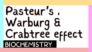 Pasteurs Warburg amp Crabtree effect  Biochemistry MBBS 1st year [upl. by Martens]