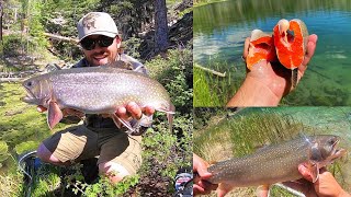 CATCH amp COOK Backpacking to a Lake for GIANT Brook Trout [upl. by Etennaej]