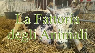 La Fattoria degli Animali [upl. by Gosser]