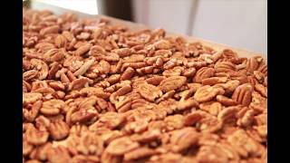 How to get Pecan Halves from Millican Pecan [upl. by Ferrell250]