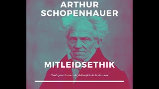 VideoCours zum Schopenhauer senger MatleedsEthik [upl. by Libnah256]