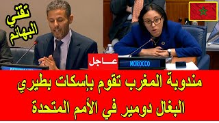 عاجل  مندوبة المغرب في الأمم المتحدة تقوم بإسكات تقني البهائم الجزائري دومير [upl. by Courcy]