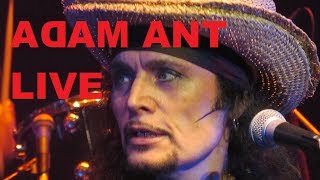 Adam Ant Live 2014  2017 [upl. by Lasiaf802]