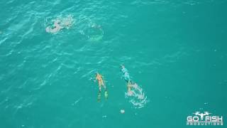 Drone Footage of Bull Shark attack on Spearfishing Team  Mavic Pro [upl. by Thackeray]