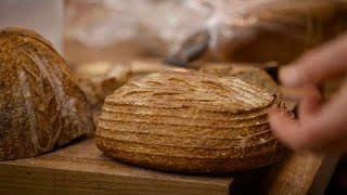 How to Revive Stale Bread  Proof Bread [upl. by Clippard]