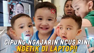 CIPUNG TIBA2 JADI GURU LES NCUS RINISEMUANYA NGAKAKNAGITA HERAN LIAT TINGKAH CIPUNG MAKIN CERIWIS [upl. by Pyotr224]