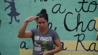 Nicaraguan Sign Language Teacher Presentation [upl. by Ecilahs]