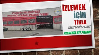 Ataşehir Bit Pazarı  Hotweels Avı [upl. by Shaylynn]