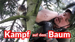 Kampf mit dem Stubentiger  Tiernotruf 67 [upl. by Gasser]