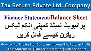 How to file Private Ltd Company Income Tax ReturnProfit amp Loss Statement  Balance Sheet [upl. by Rot]