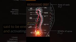 The Microcosmic Orbit 💫 Sexual Energy Circulation 🔥💥 [upl. by Ilwain]