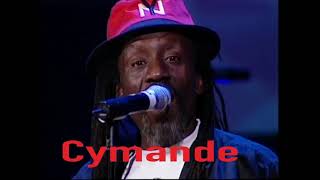 Cymande The Message rare live performance [upl. by Ennayehc344]