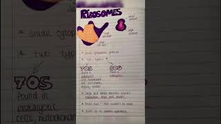 Ribosome biology and physiology  medical 20 [upl. by Joane]