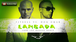 Lambada  Pitbull vs Don Omar Lonelez Remix [upl. by Johnathan]