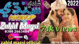 new sindhi mashup song by zahid magsi remix mashup song [upl. by Latyrc]