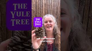 The Yule Tree at Winter Solstice wintersolstice australianwitch [upl. by Karlin]