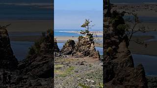 Siletz Bay Vista Point Lincoln City Oregon Coast beautifulview oregoncoast adventure [upl. by Nerehs]