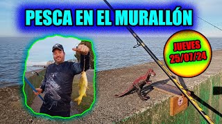 PESCA EN EL MURALLON  PESCA METAL [upl. by Baecher]