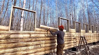 Building A Big Log Cabin In The Woods Alone Framing In The Remaining Windows [upl. by Nesahc211]