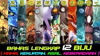 BAHAS LENGKAP 12 NAMA BIJU DAN JINCHUURIKI BESERTA KEKUATANNYA SERTA KEBERADAANNYA DI ERA BORUTO [upl. by Zenia]