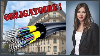 La fibre optique obligatoire dans tous les immeubles rénovés [upl. by Edijabab]