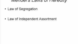 Mendelian Inheritance and Selfish Genetic Elements [upl. by Nive]