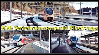 Viele SOB Züge beim Bahnhof Verkehrsknotenpunkt Biberbrugg Kanton Schwyz Schweiz 2022 [upl. by Azal]