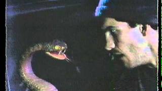 Viper Car Alarms “Protected by Viper”  Commercial 1992 [upl. by Moulton]