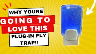 Review and Demo of Wondercide Flying Insect and Fly Trap [upl. by Demmer766]