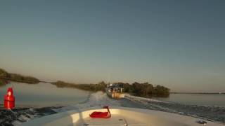 Early morning trip on the homosassa river [upl. by Meekar]