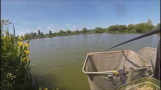 The Sedges Fishery Brick Lake [upl. by Searcy287]