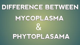 Difference between mycoplasma and phytoplasma in hindiPPLOMLOICARJET12TH RBSEPlant Science [upl. by Parke]