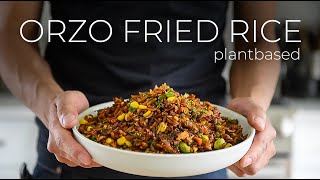 The Orzo Fried Rice FUSION Recipe nobody asked for [upl. by Nuavahs]