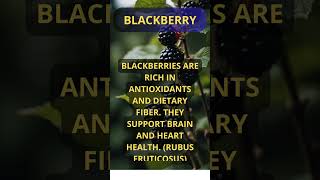 Blackberry 3BlackberryBenefitsEatYourVitaminsVitaminsInFoodSuperfoodsNutrientRichVitaminBoost [upl. by Rahab]