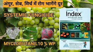 MYCLOBUTANIL 10 wp  Index Systemic Fungicide [upl. by Alegre442]