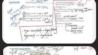 Hormones acting on kidney  Potassium Shift  First Aid Reanl Physiology USMLE 1  UrduHindi [upl. by Otreblada]