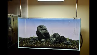 Iwagumi Aquarium Using Hakkai Stone [upl. by Rogozen289]