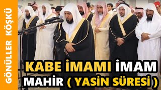 KABE İMAMI İMAM MAHİR  YASİN SÜRESİ [upl. by Malkin227]