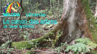 Le canon des arbres  Steve WARING Cover  Chorale Mélodia de NouvelleCalédonie [upl. by Cawley961]