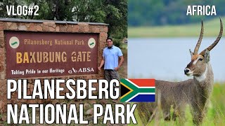 Bakgatla Campsite Review  Pilanesberg National Park [upl. by Mij]